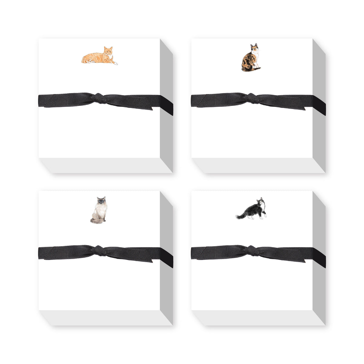 CATS CHUBBIE NOTEPAD