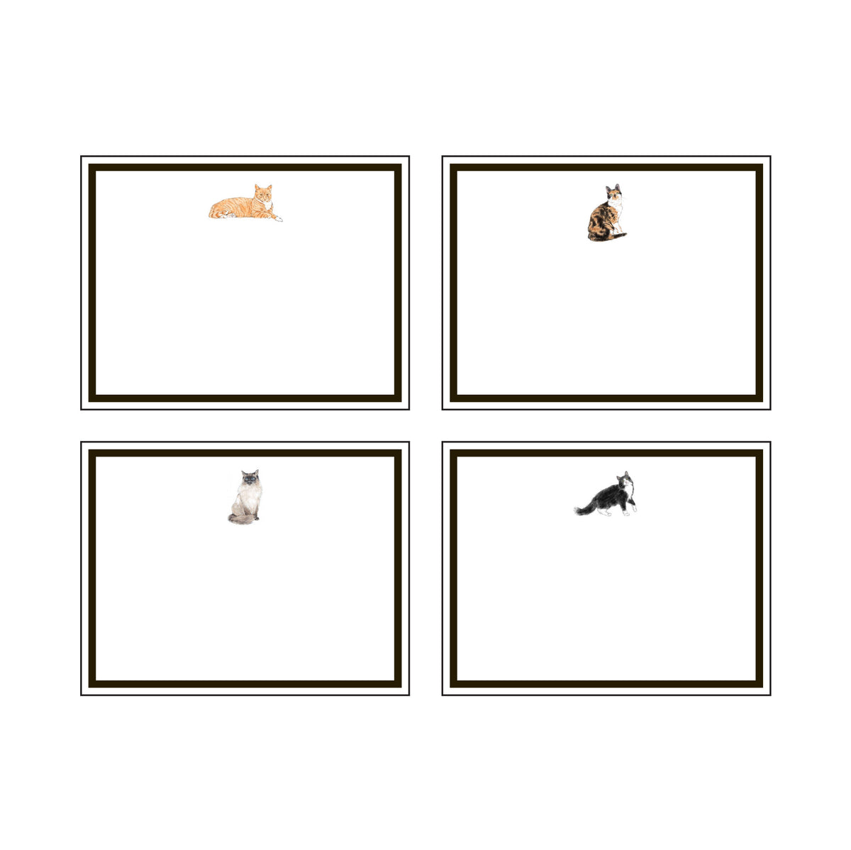 CATS FLAT NOTES