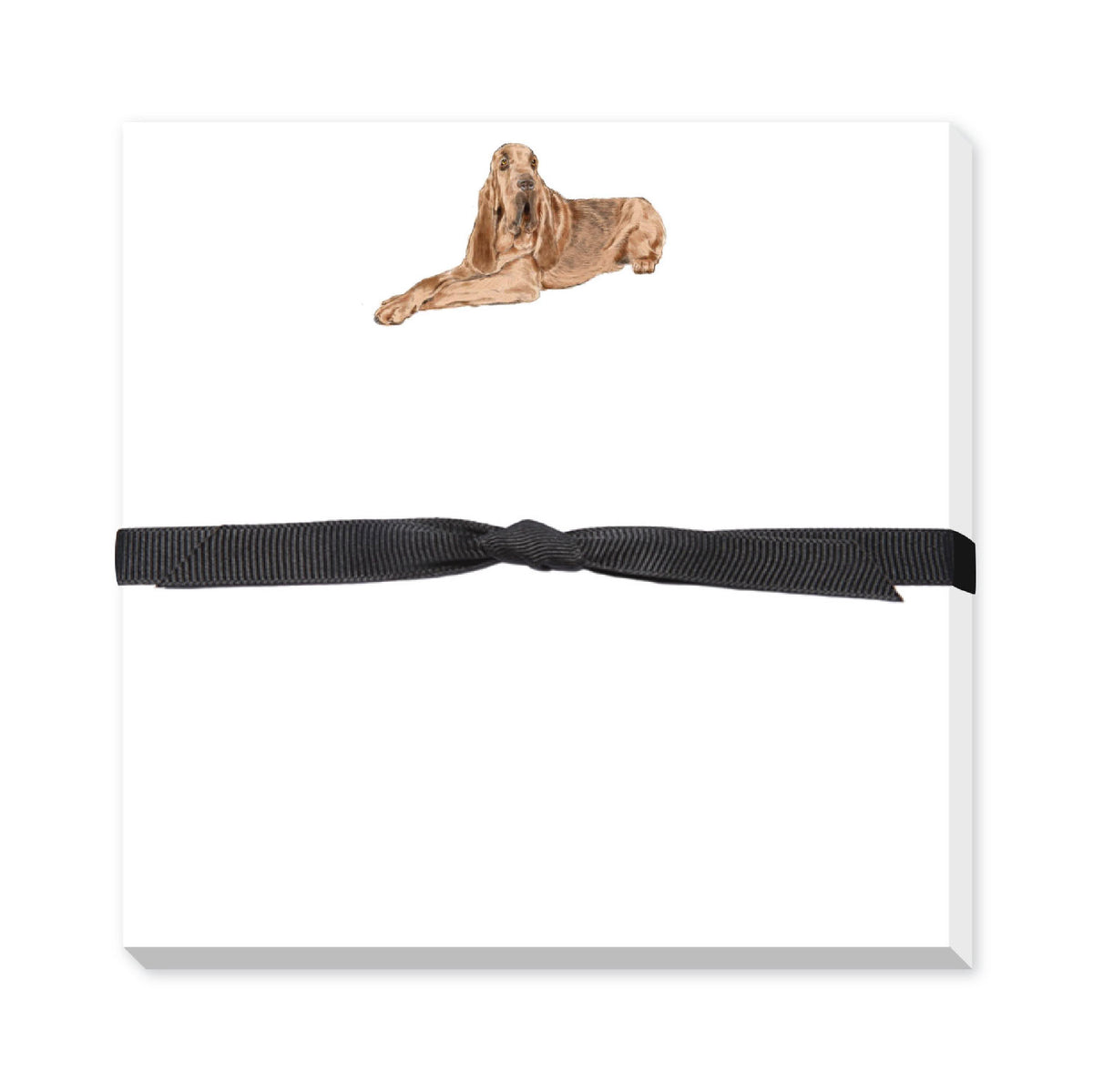 DONOVAN DOGS DOODLE NOTEPAD