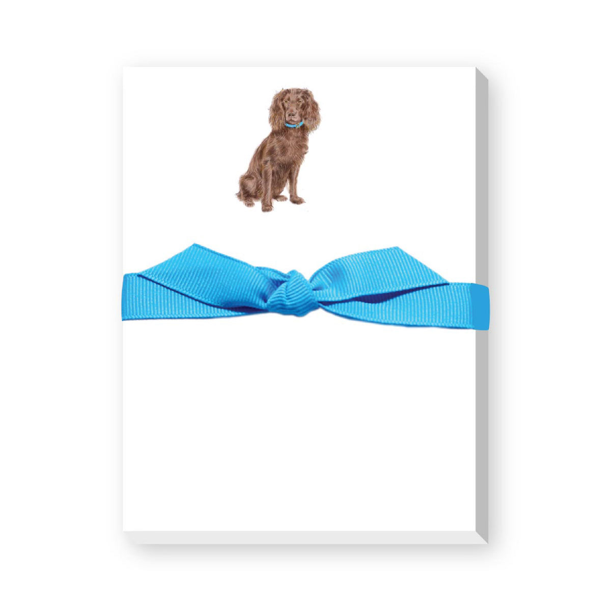 DONOVAN DOGS MINI NOTEPAD