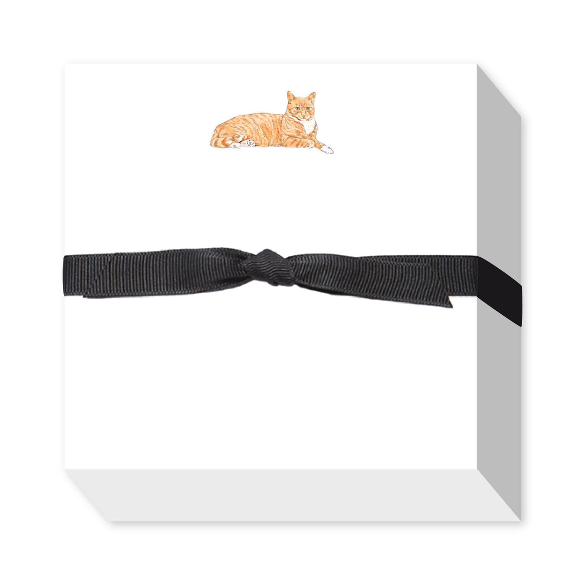 CATS CHUBBIE NOTEPAD