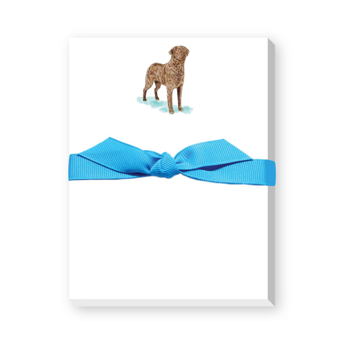 DONOVAN DOGS MINI NOTEPAD