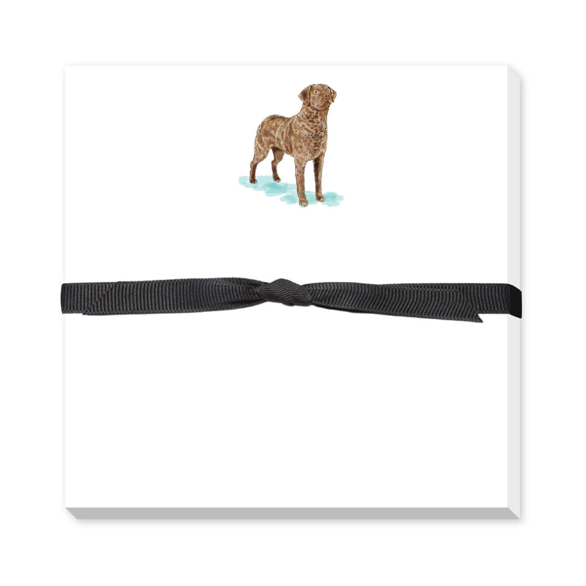 DONOVAN DOGS DOODLE NOTEPAD
