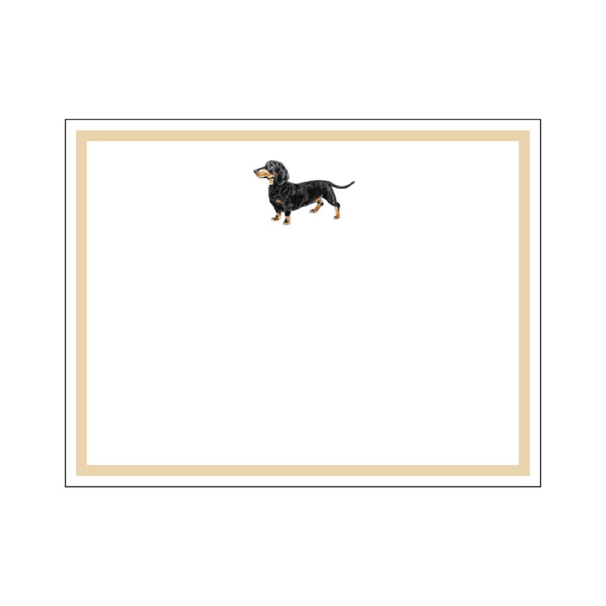 DONOVAN DOGS FLAT NOTES
