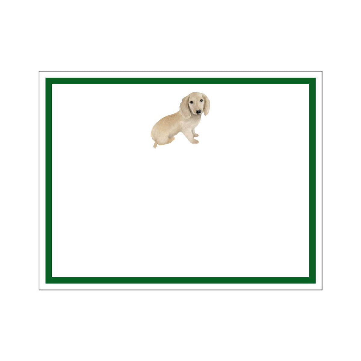 DONOVAN DOGS FLAT NOTES