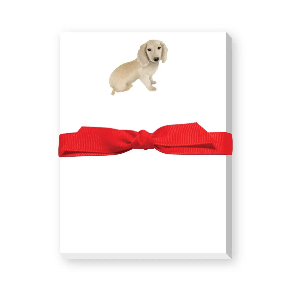 DONOVAN DOGS MINI NOTEPAD