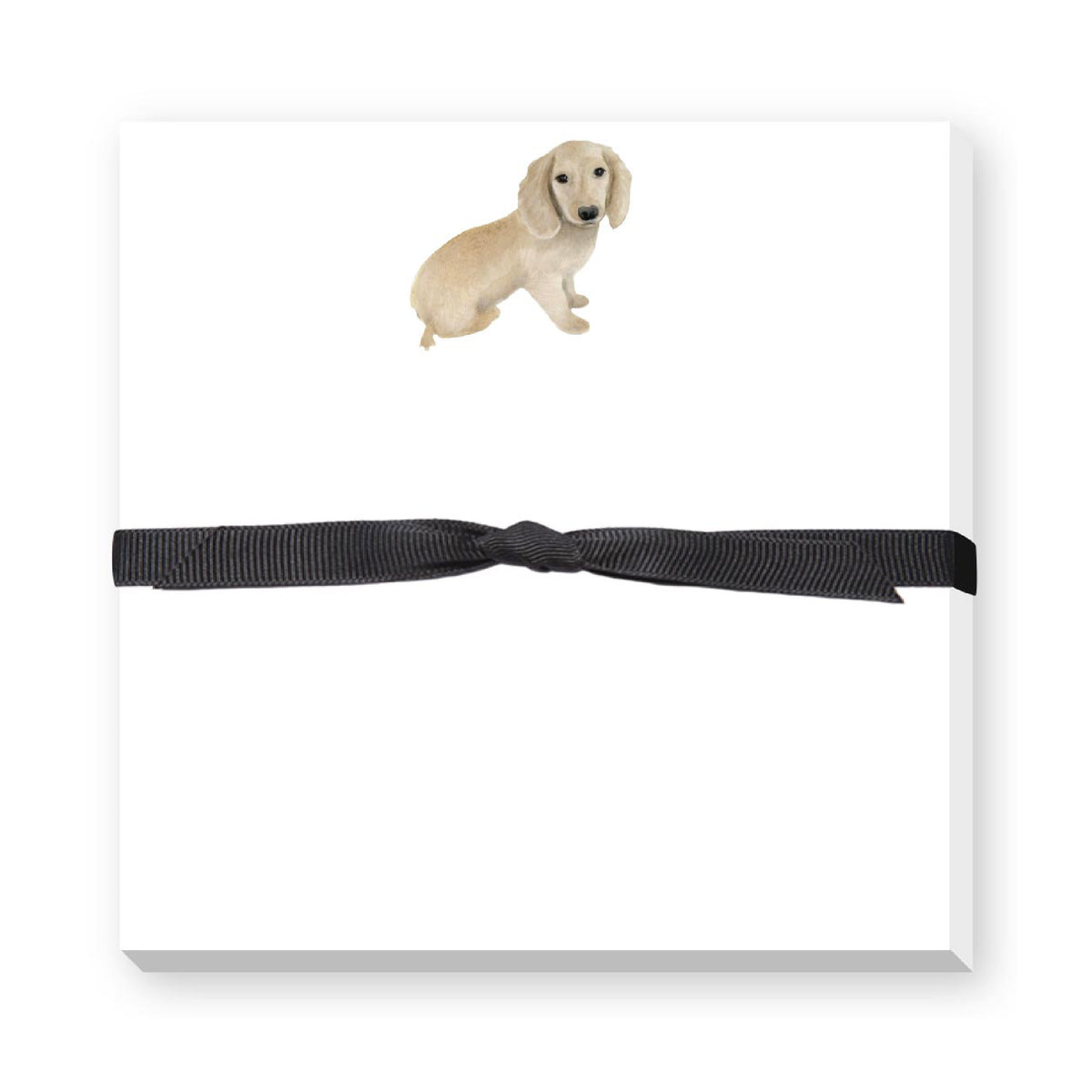 DONOVAN DOGS DOODLE NOTEPAD
