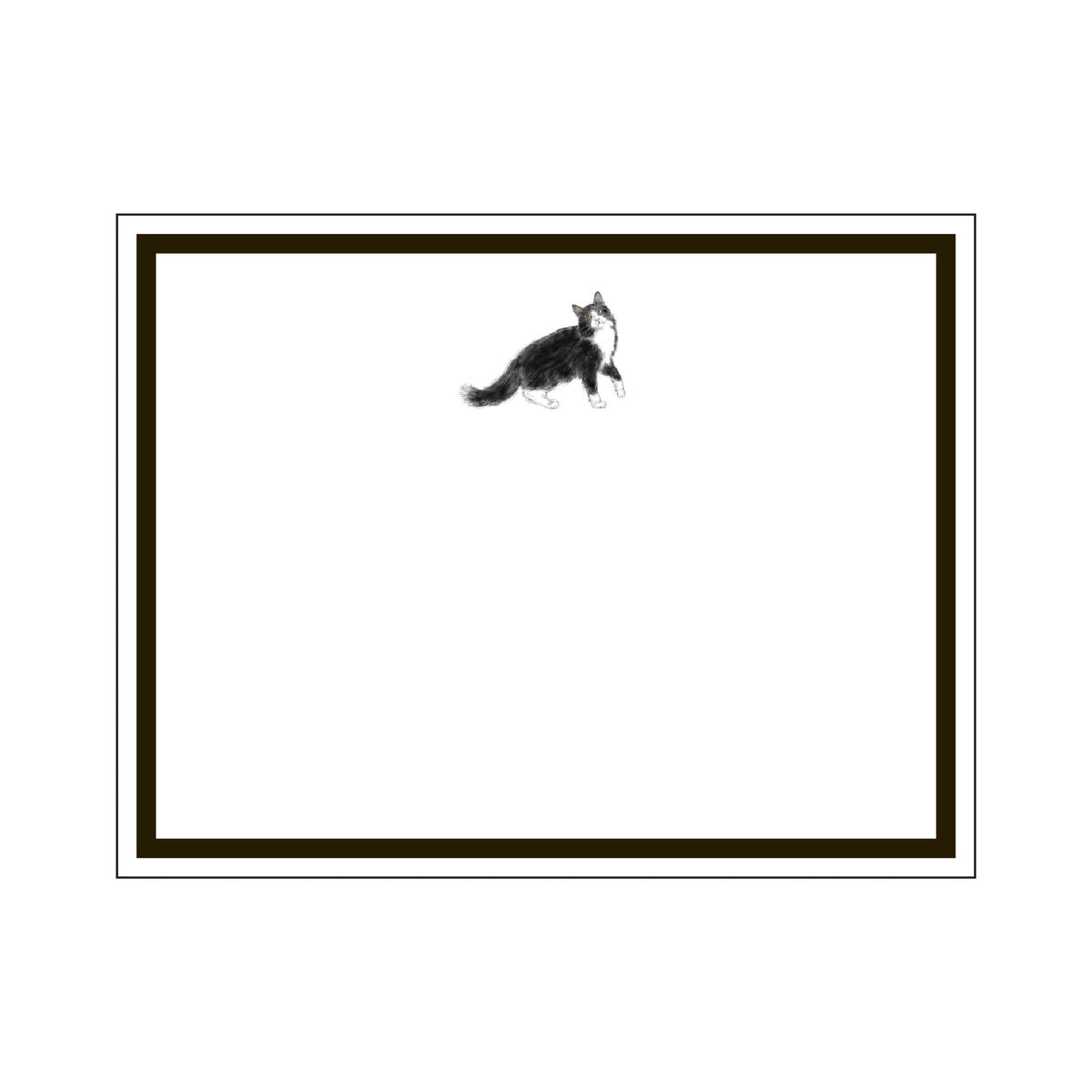 CATS FLAT NOTES