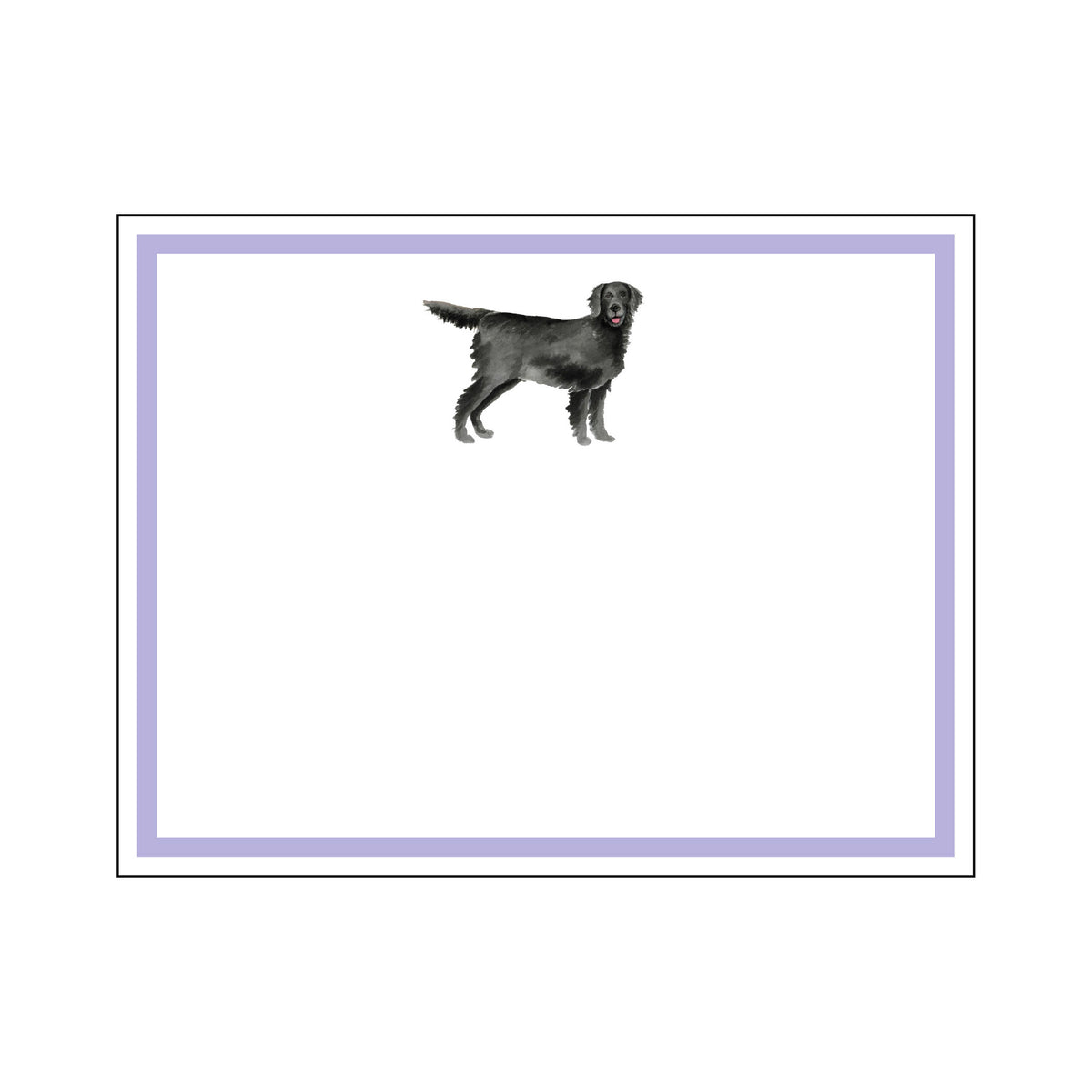 DONOVAN DOGS FLAT NOTES