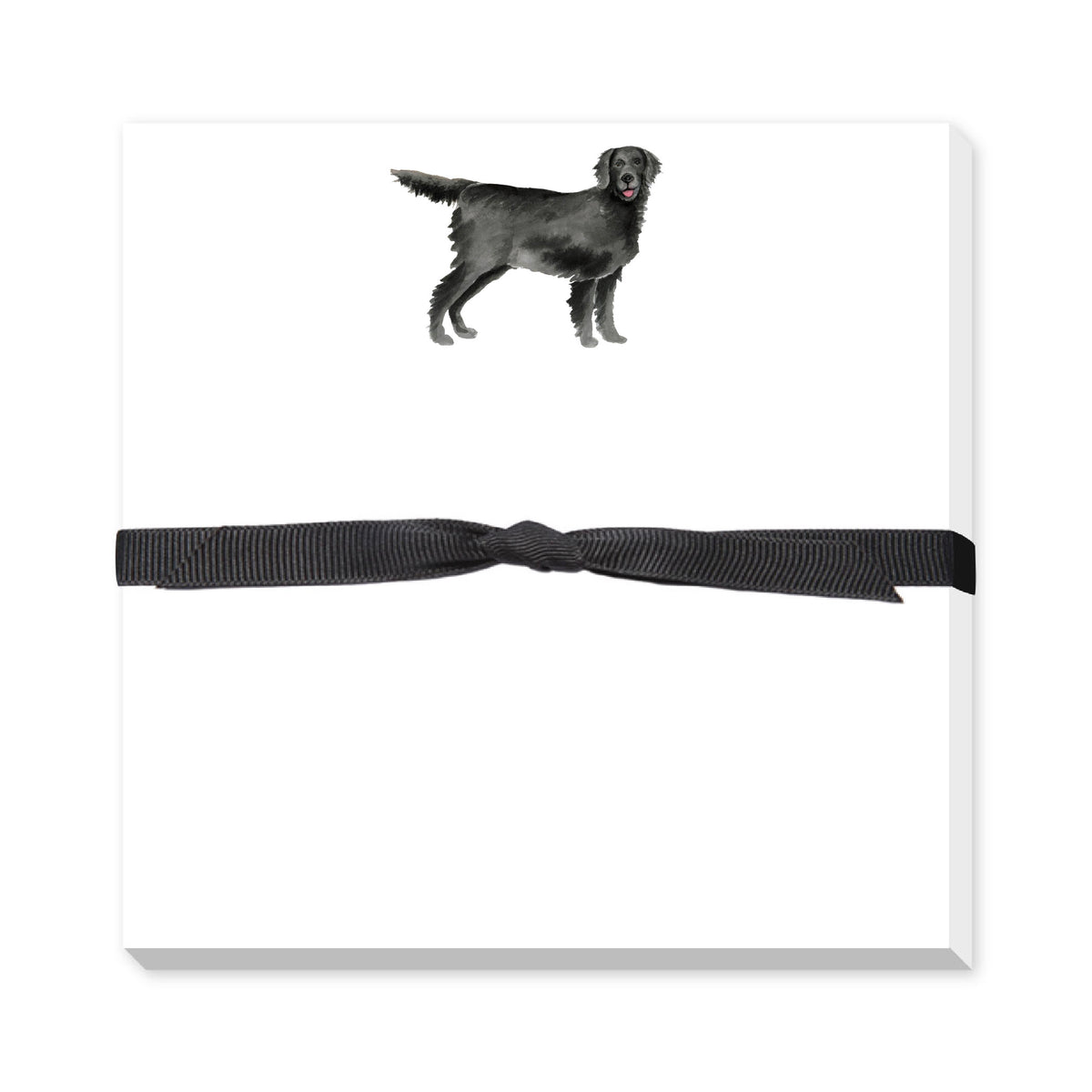DONOVAN DOGS DOODLE NOTEPAD