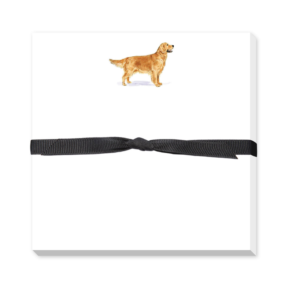 DONOVAN DOGS DOODLE NOTEPAD