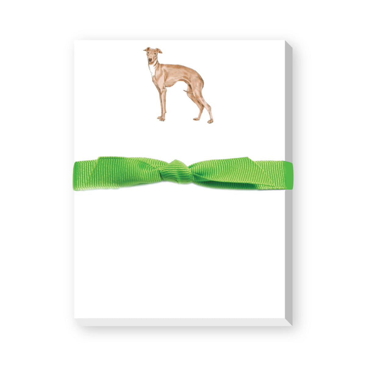 DONOVAN DOGS MINI NOTEPAD
