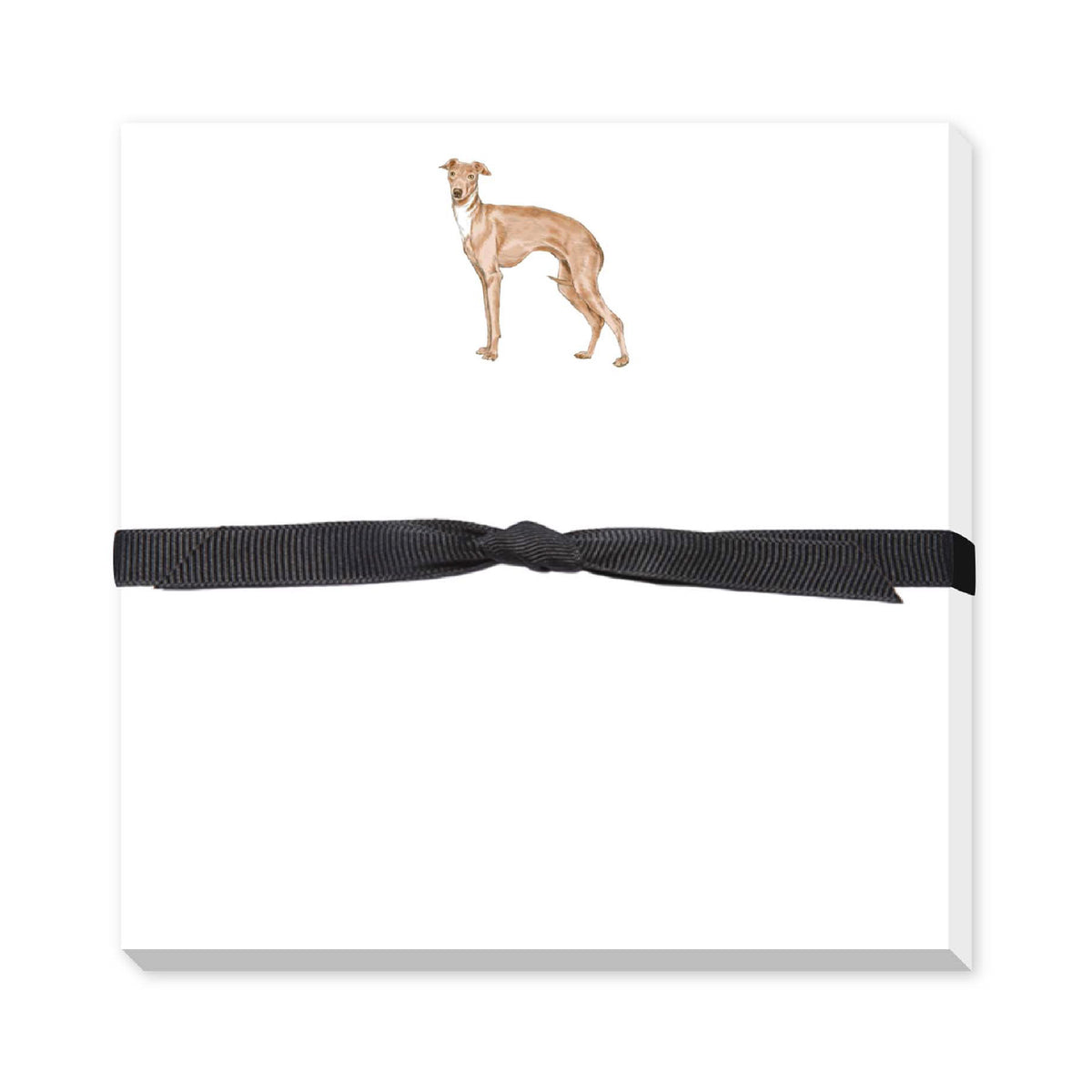 DONOVAN DOGS DOODLE NOTEPAD