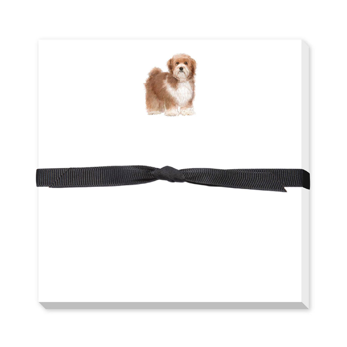 DONOVAN DOGS DOODLE NOTEPAD
