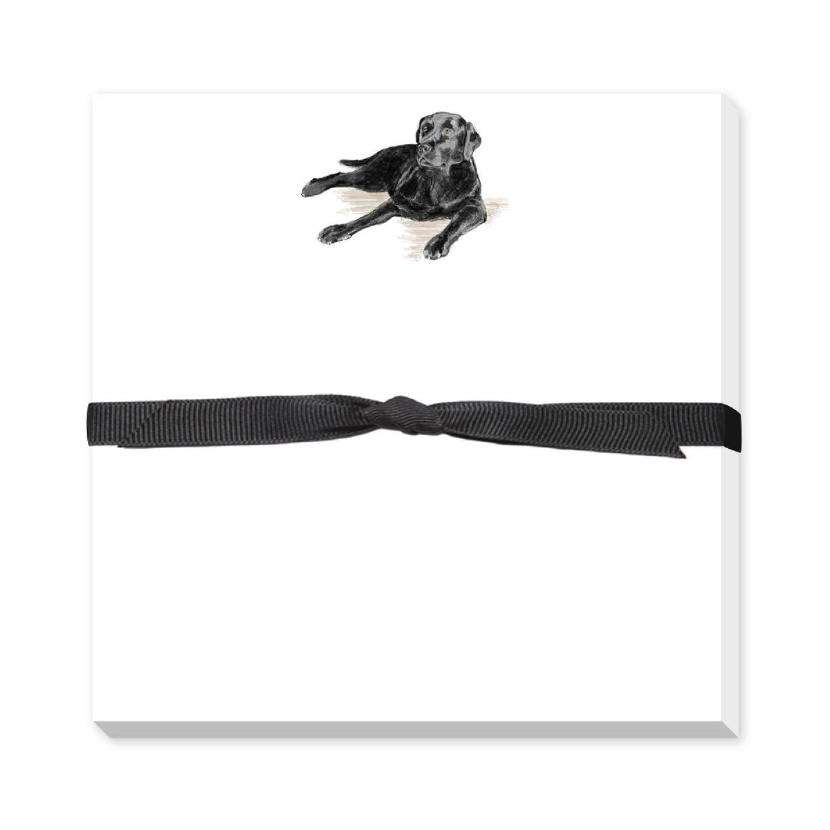 DONOVAN DOGS DOODLE NOTEPAD