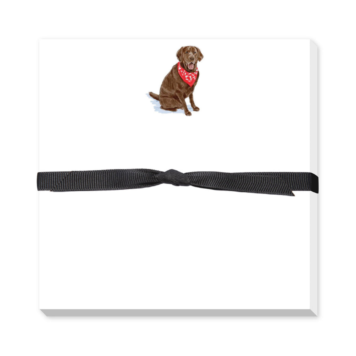 DONOVAN DOGS DOODLE NOTEPAD