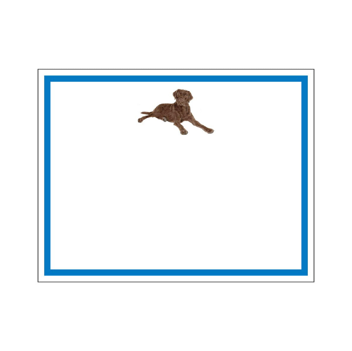 DONOVAN DOGS FLAT NOTES