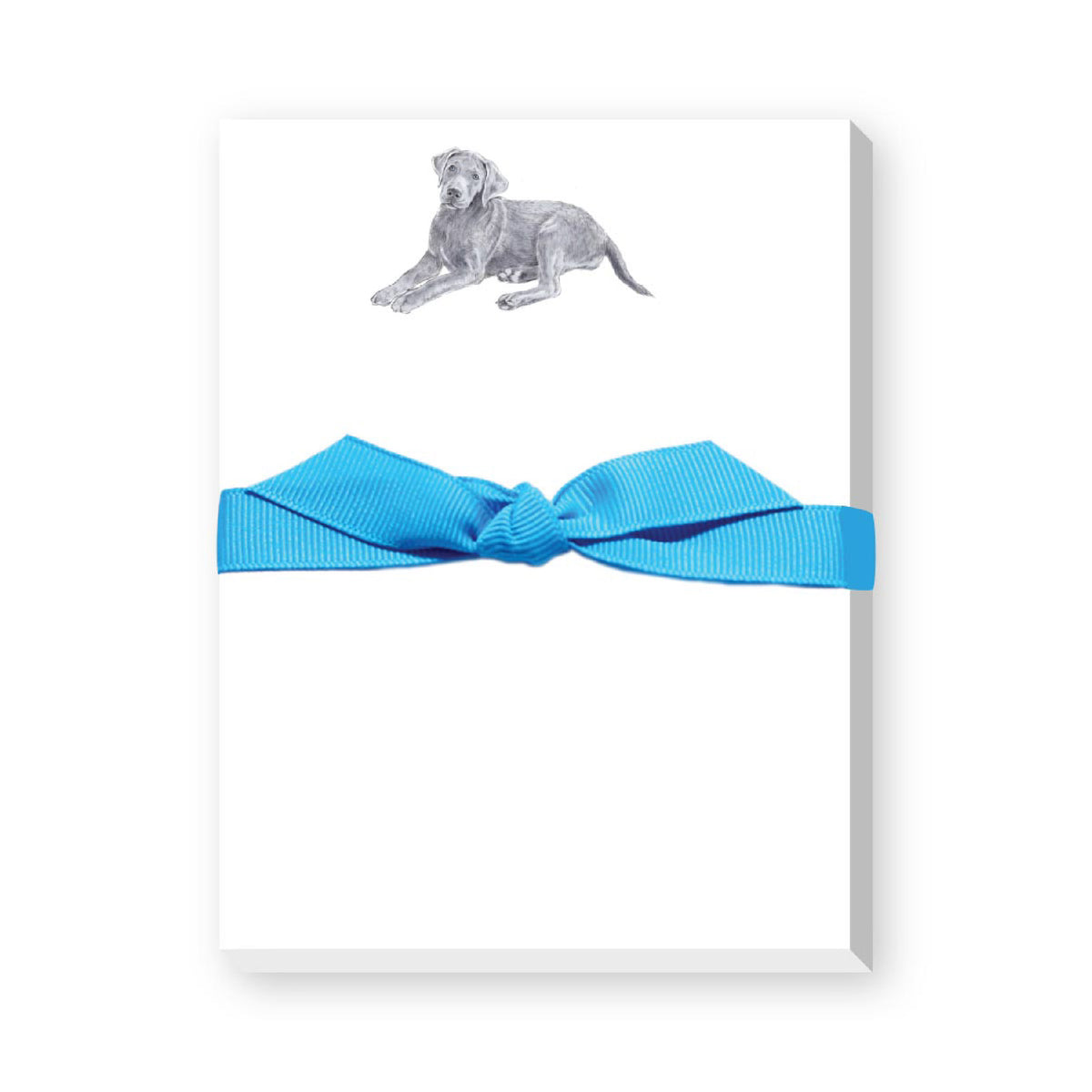 DONOVAN DOGS MINI NOTEPAD