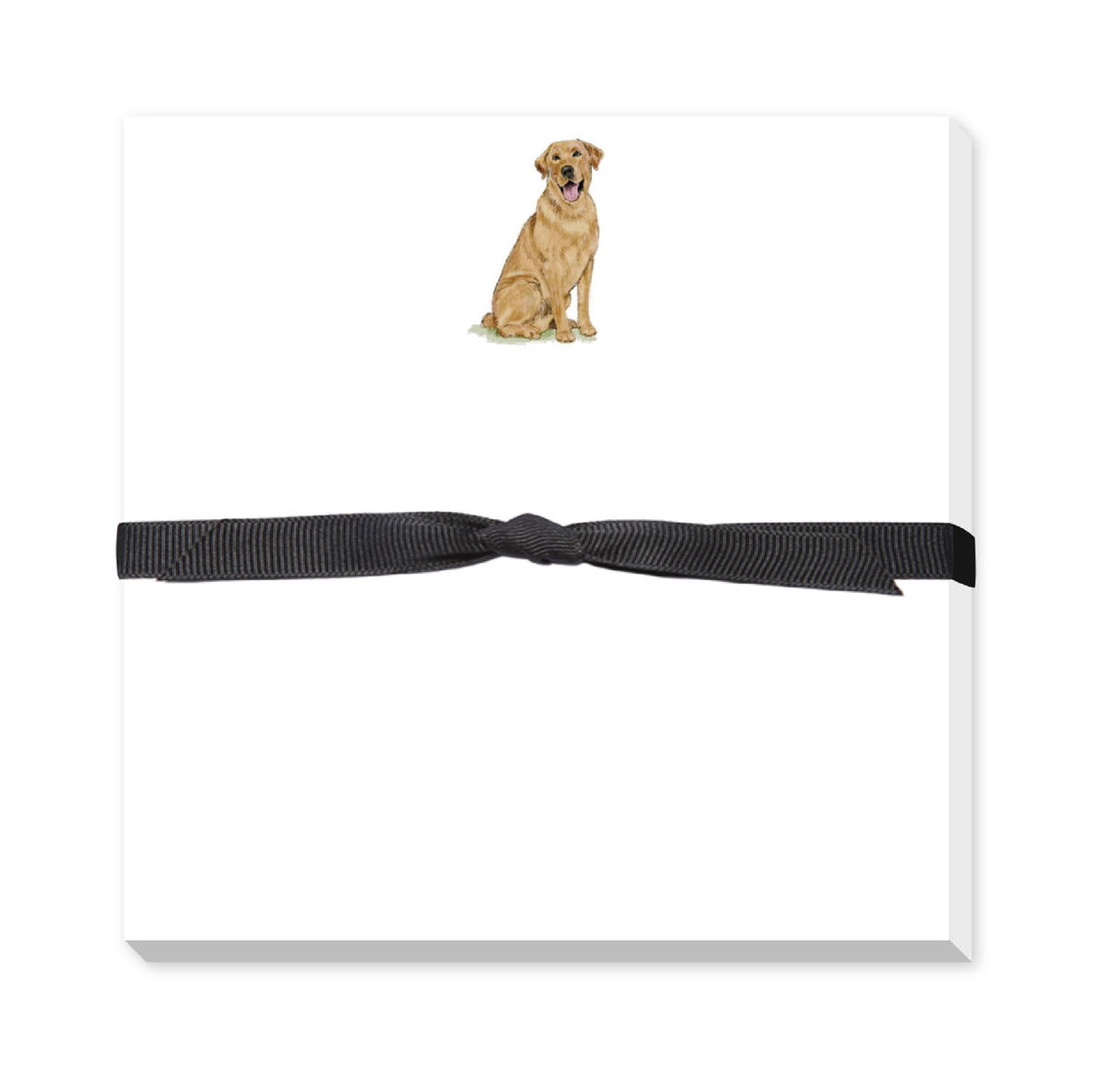 DONOVAN DOGS DOODLE NOTEPAD