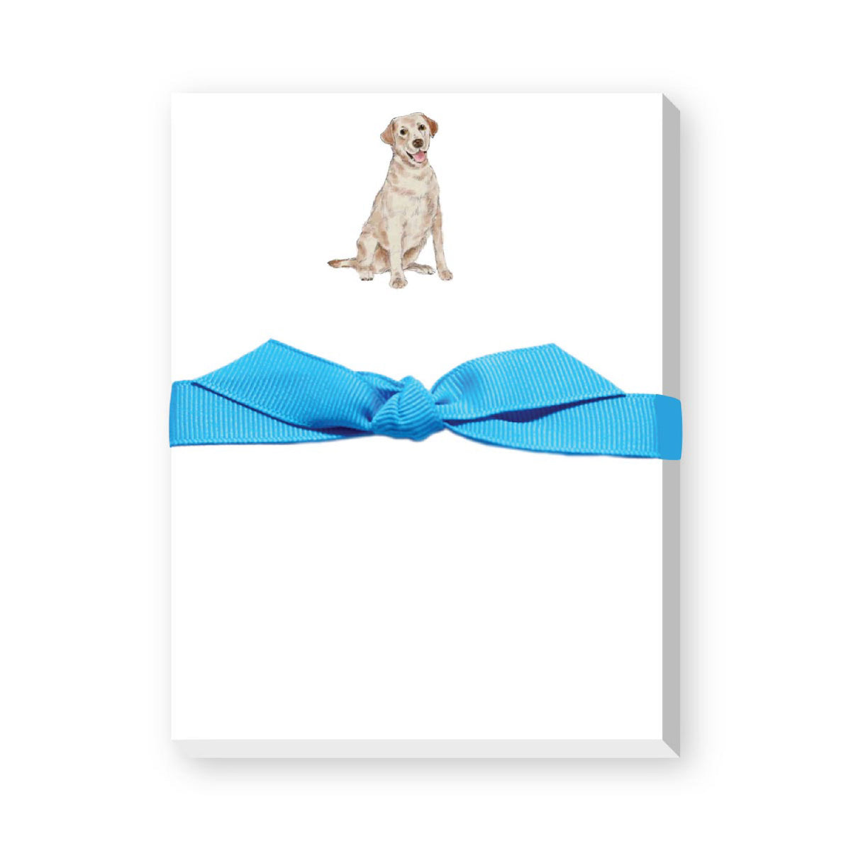 DONOVAN DOGS MINI NOTEPAD
