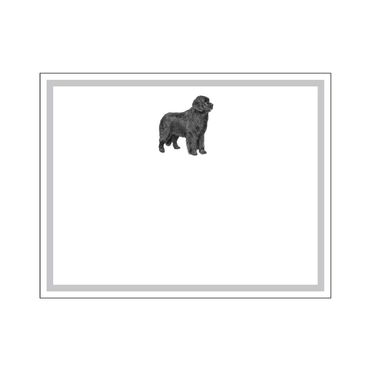 DONOVAN DOGS FLAT NOTES