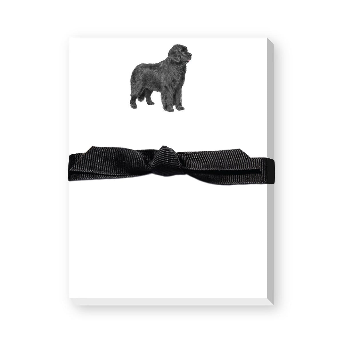 DONOVAN DOGS MINI NOTEPAD