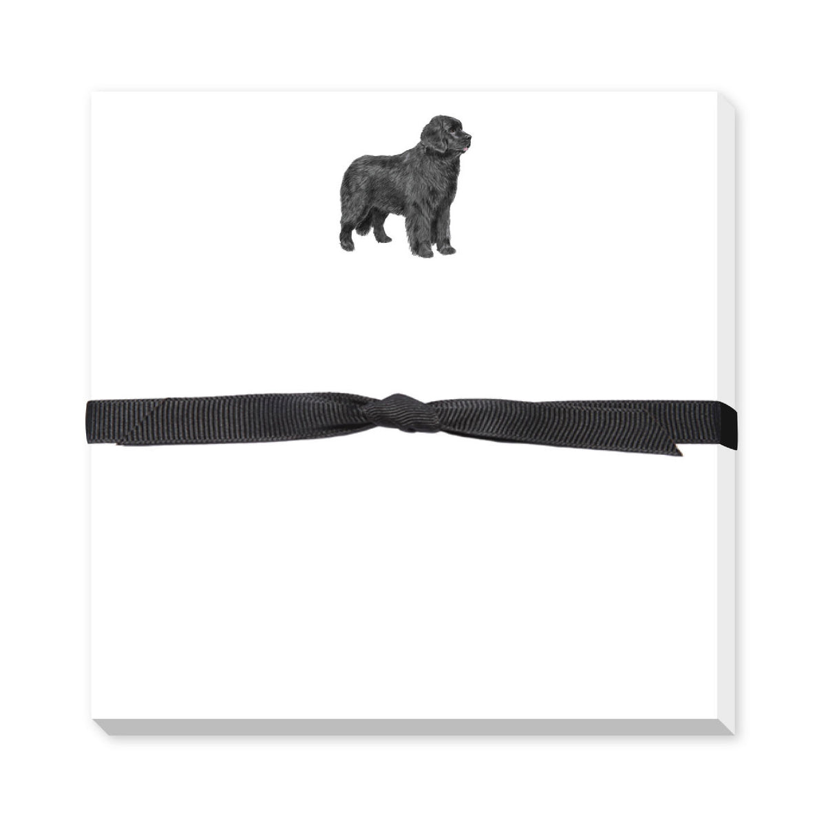 DONOVAN DOGS DOODLE NOTEPAD