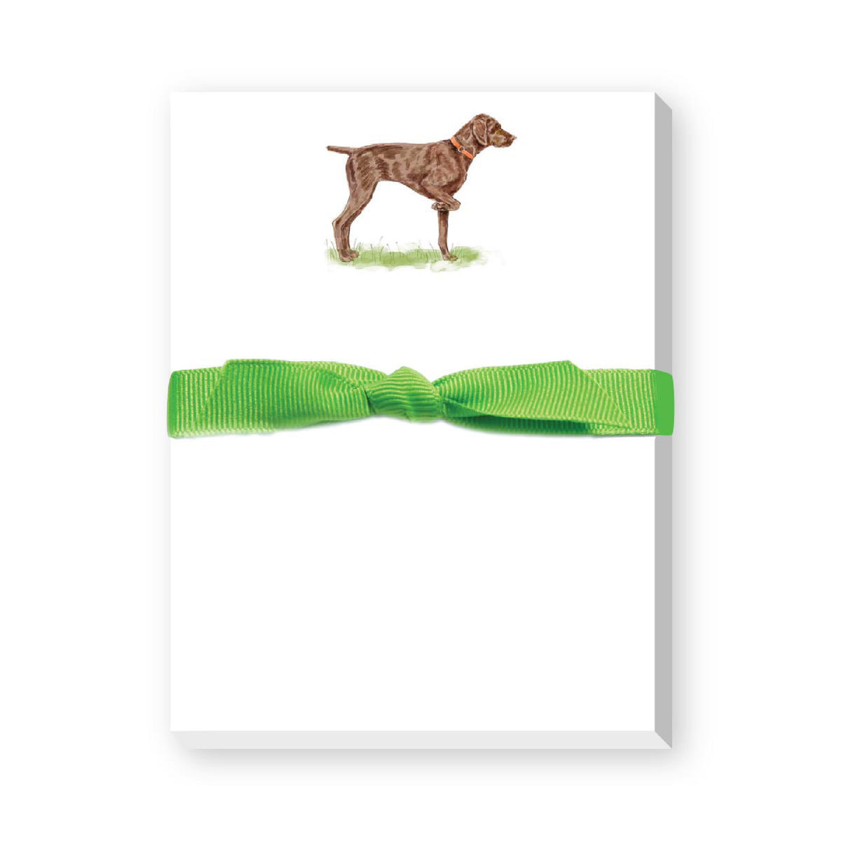 DONOVAN DOGS MINI NOTEPAD