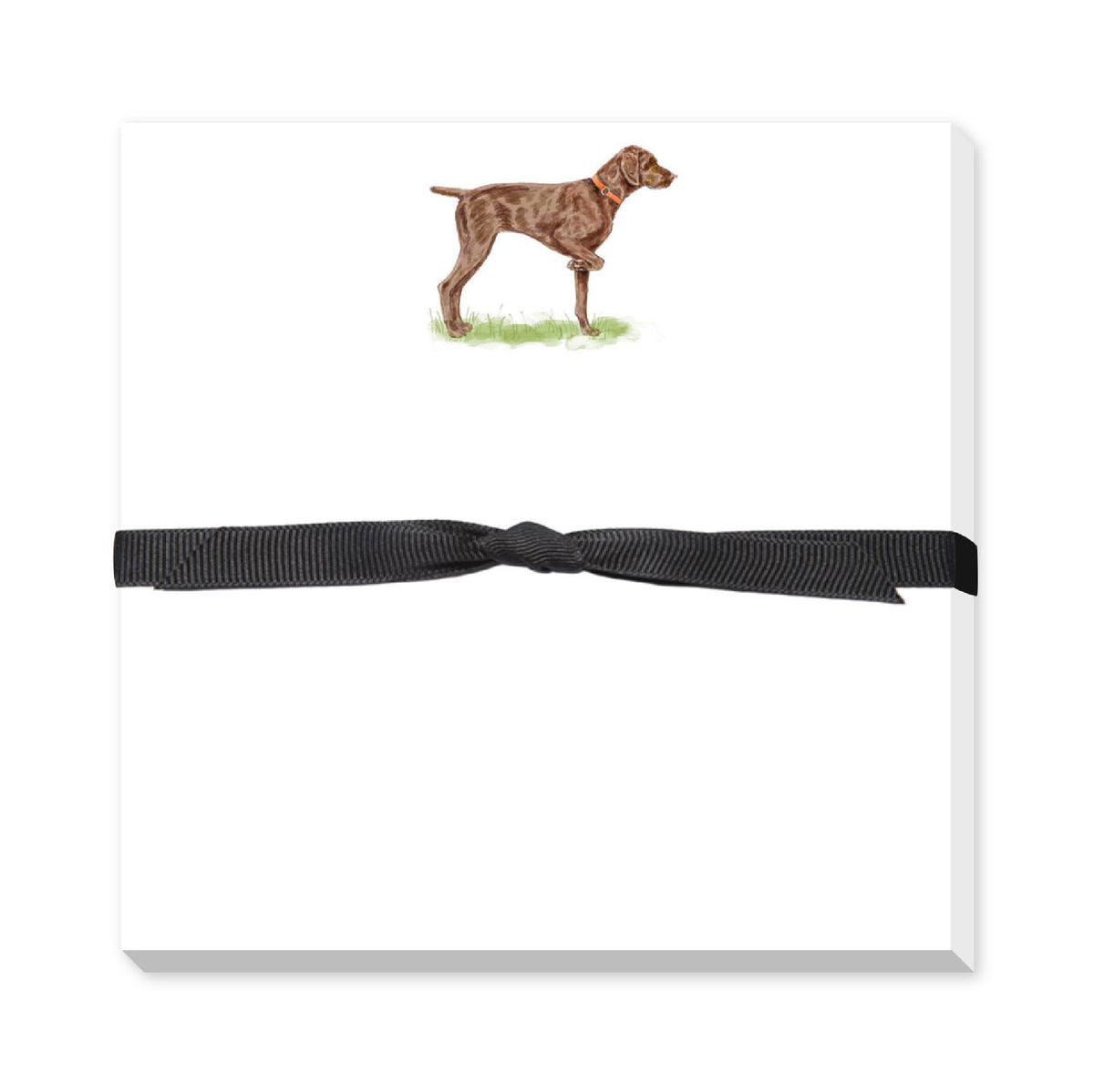 DONOVAN DOGS DOODLE NOTEPAD