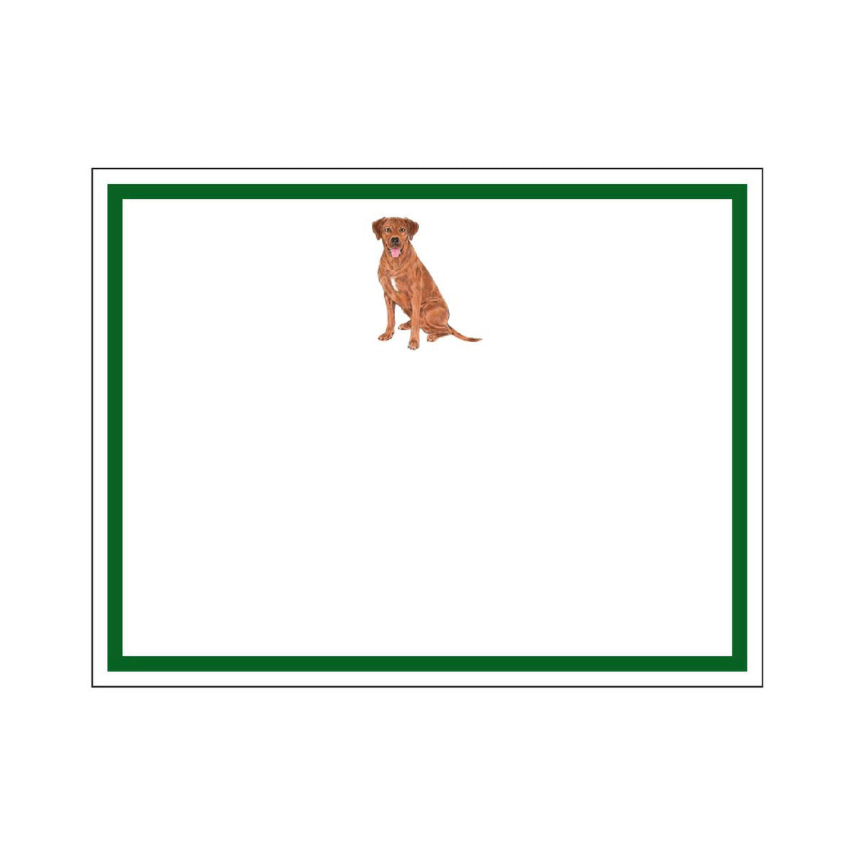 DONOVAN DOGS FLAT NOTES
