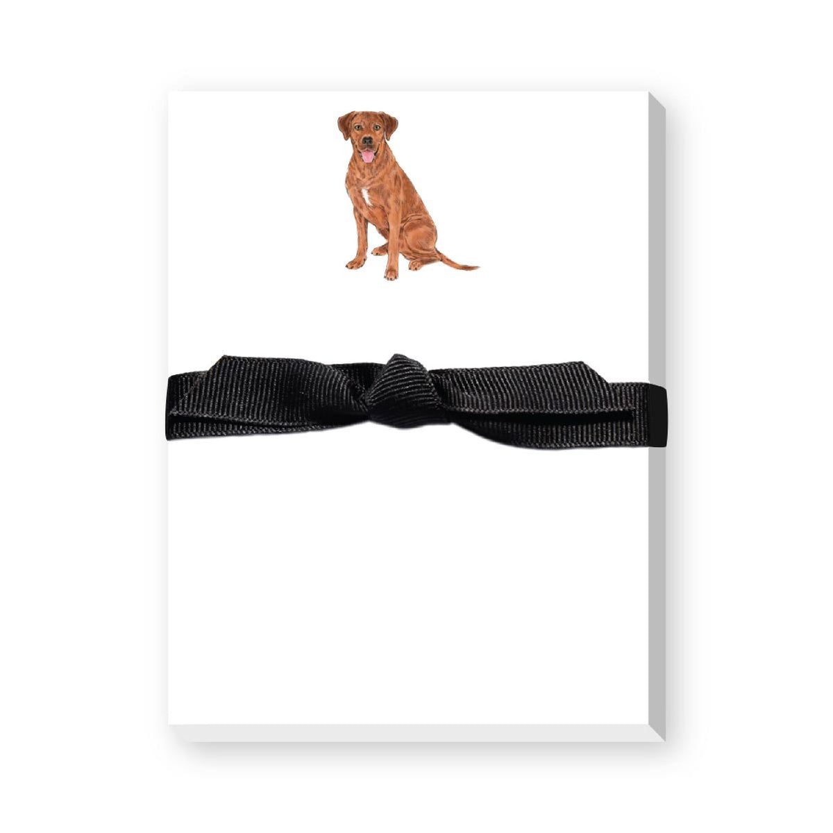 DONOVAN DOGS MINI NOTEPAD