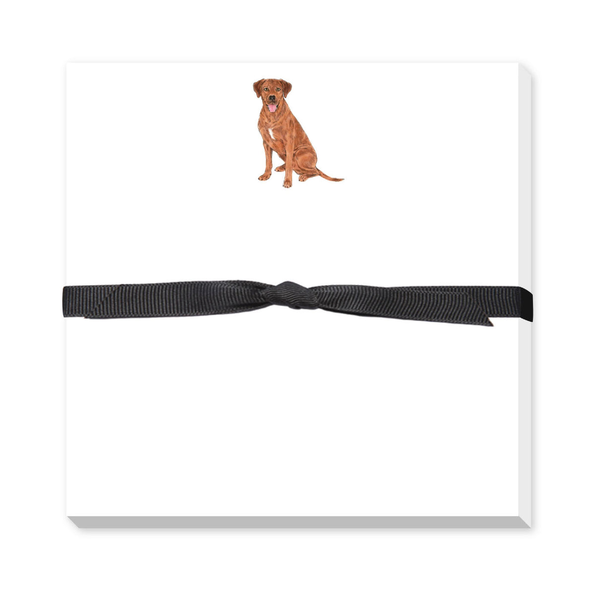 DONOVAN DOGS DOODLE NOTEPAD