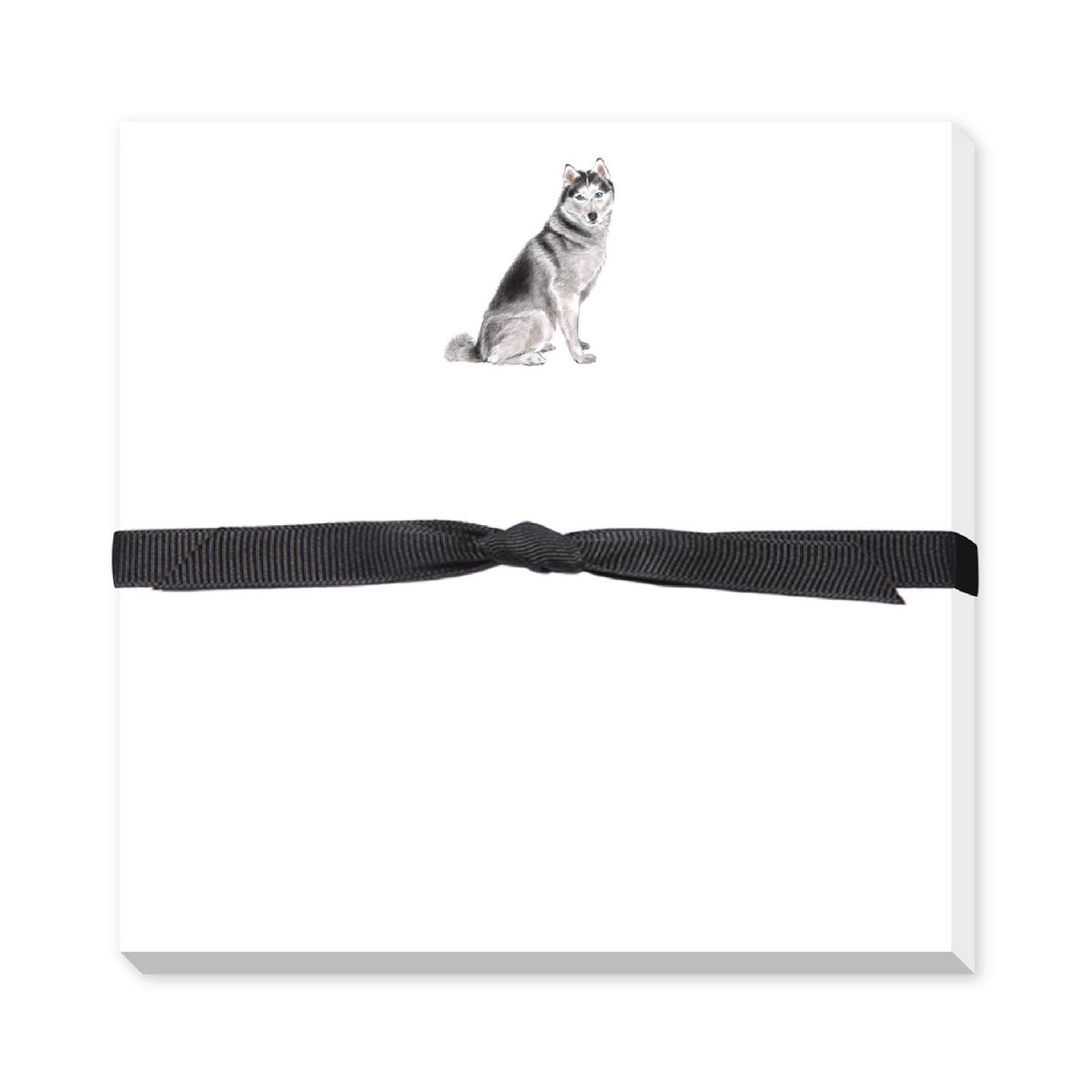 DONOVAN DOGS DOODLE NOTEPAD