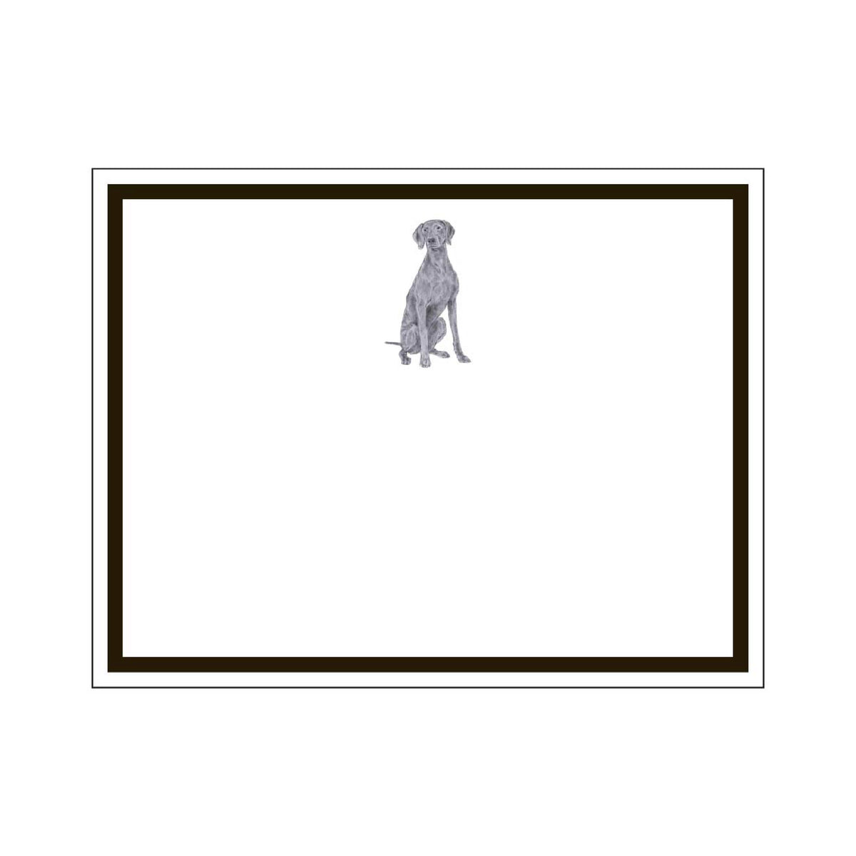 DONOVAN DOGS FLAT NOTES