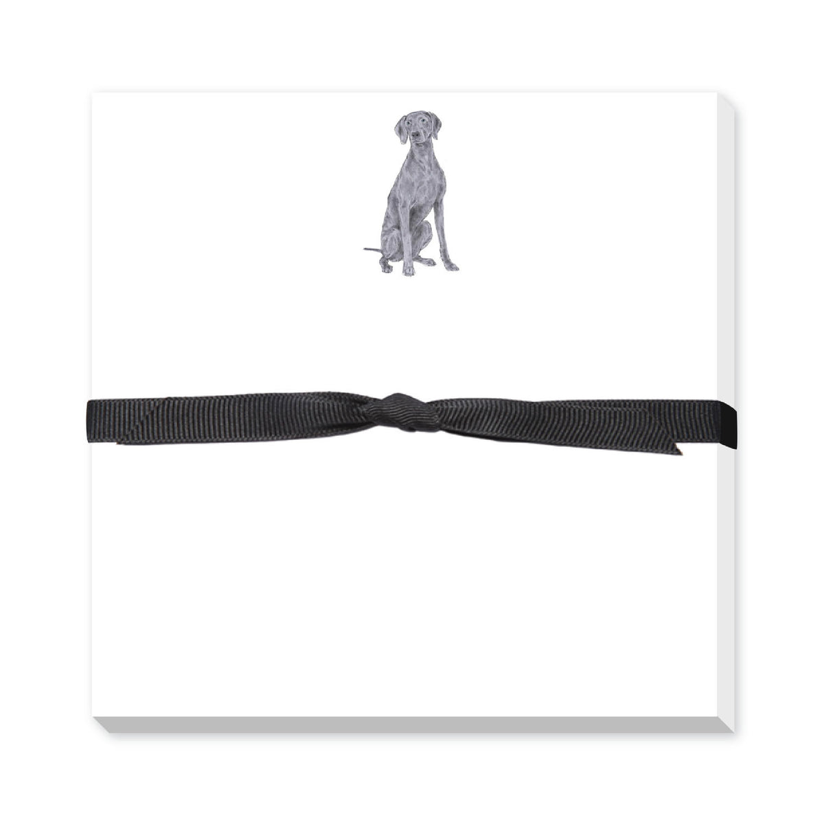 DONOVAN DOGS DOODLE NOTEPAD