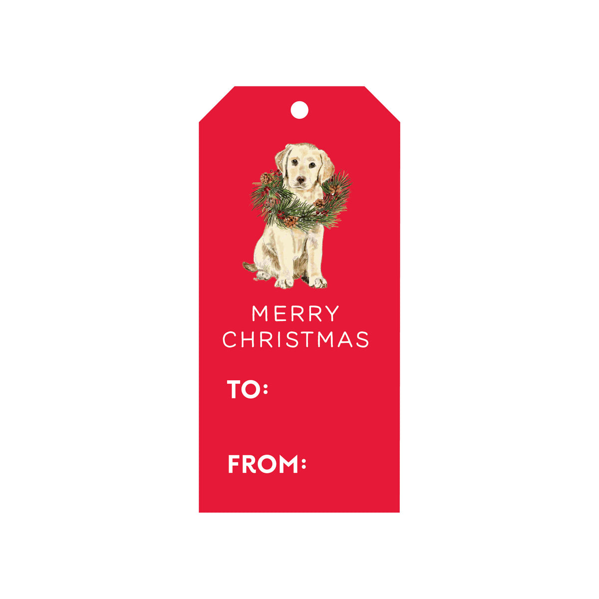 COLORFUL HOLIDAY GIFT TAGS